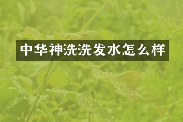 中华神洗洗发水怎么样