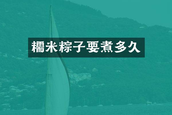 糯米粽子要煮多久