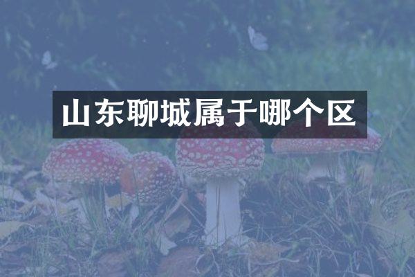 山东聊城属于哪个区