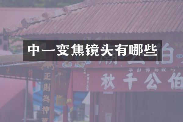 中一变焦镜头有哪些