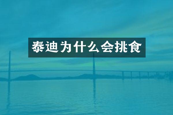 泰迪为什么会挑食