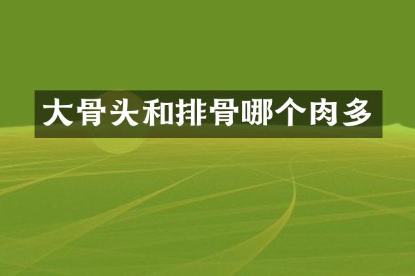 大骨头和排骨哪个肉多