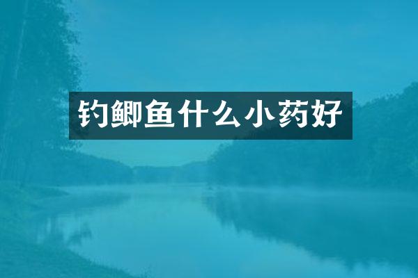 钓鲫鱼什么小药好