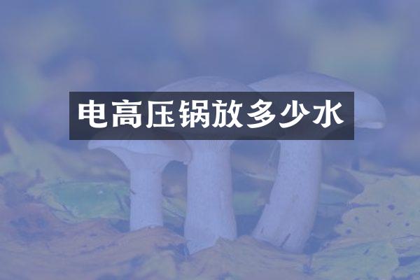 电高压锅放多少水