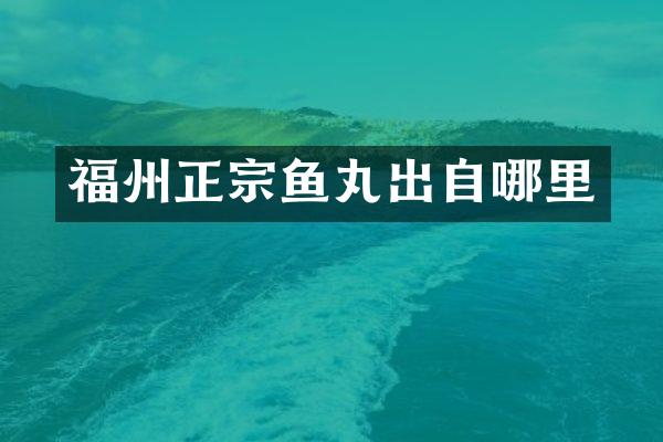 福州正宗鱼丸出自哪里