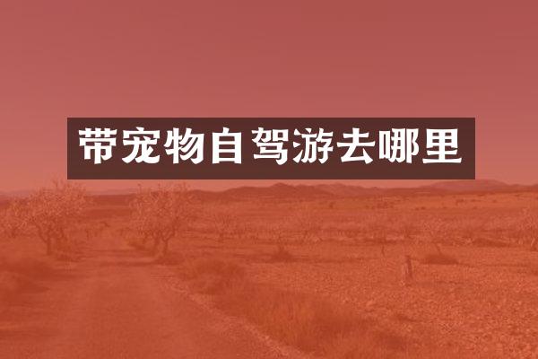 带宠物自驾游去哪里