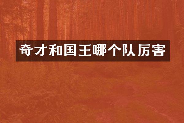 奇才和国王哪个队厉害