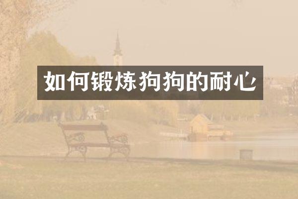 如何锻炼狗狗的耐心