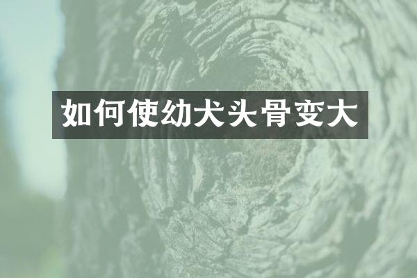 如何使幼犬头骨变大