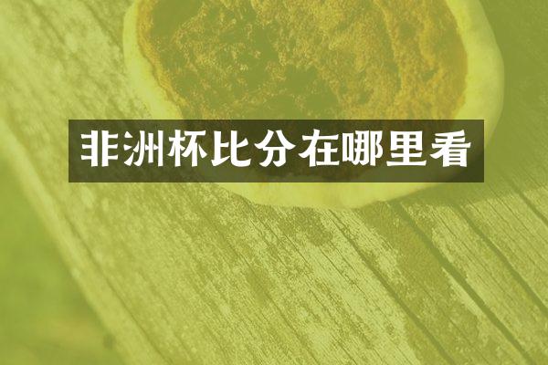 非洲杯比分在哪里看