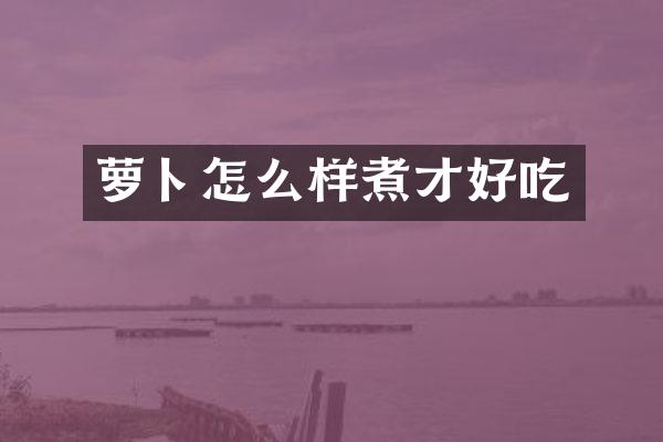 萝卜怎么样煮才好吃