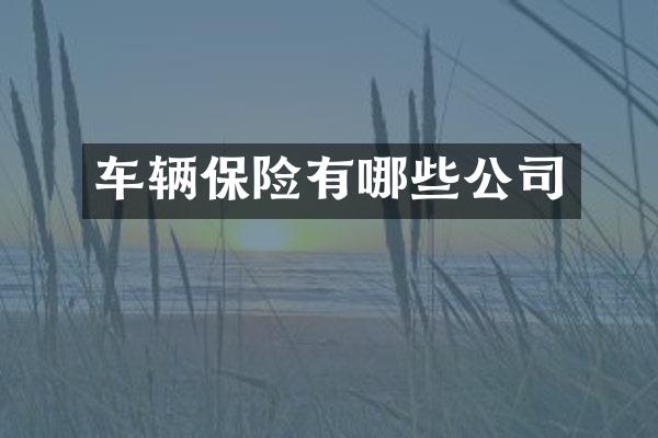车辆保险有哪些公司