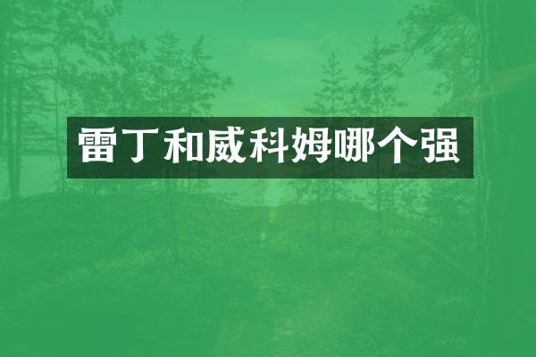 雷丁和威科姆哪个强