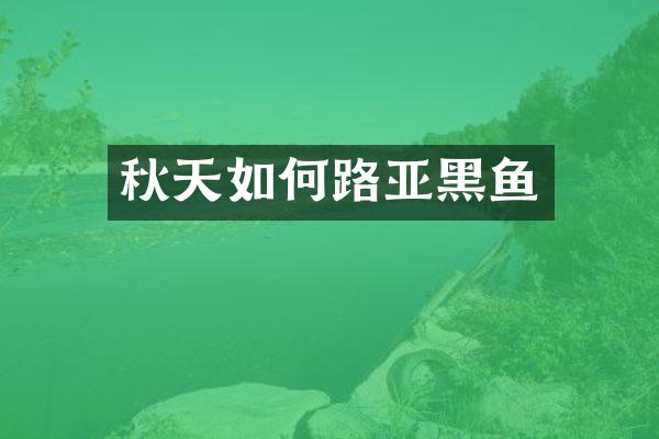 秋天如何路亚黑鱼