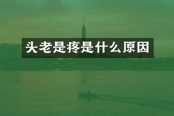 头老是疼是什么原因
