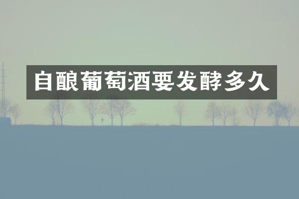自酿葡萄酒要发酵多久