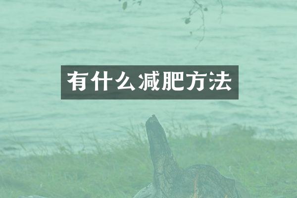 有什么减肥方法