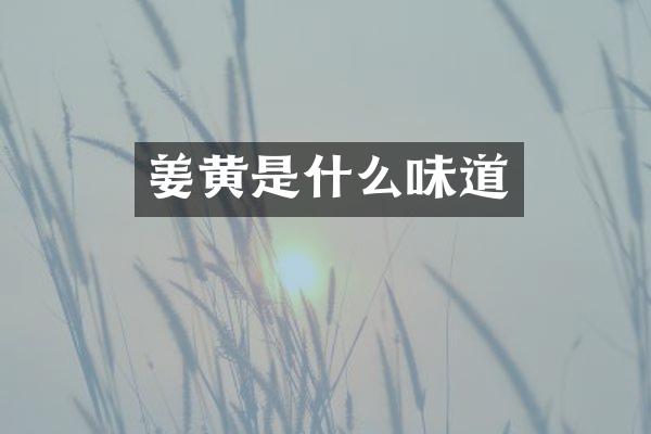 姜黄是什么味道