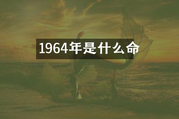 1964年是什么命