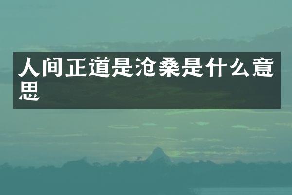 人间正道是沧桑是什么意思