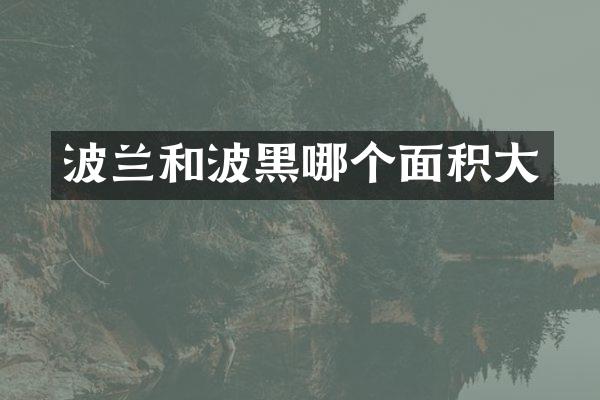 波兰和波黑哪个面积大