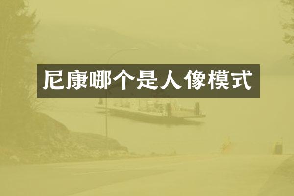 尼康哪个是人像模式