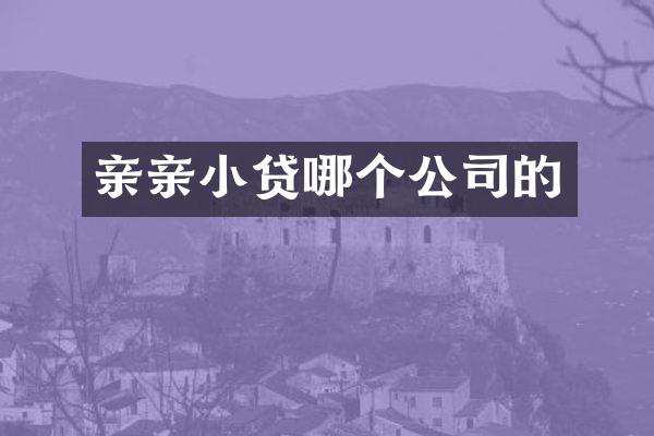 亲亲小贷哪个公司的