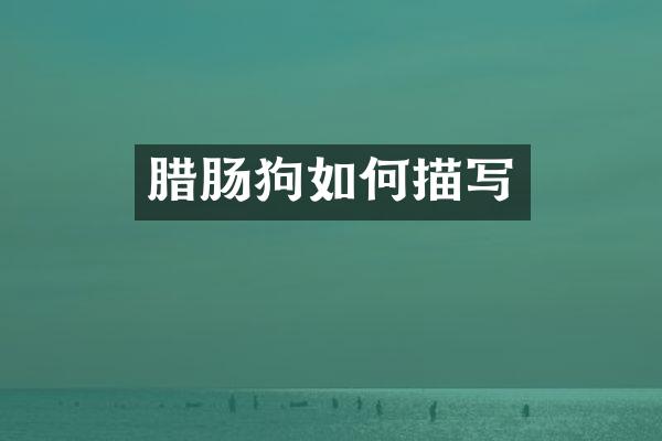 腊肠狗如何描写