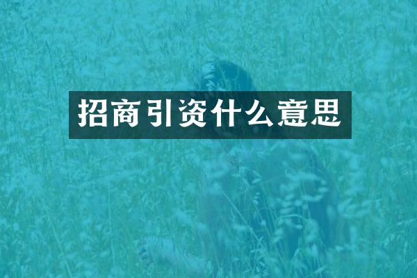 招商引资什么意思