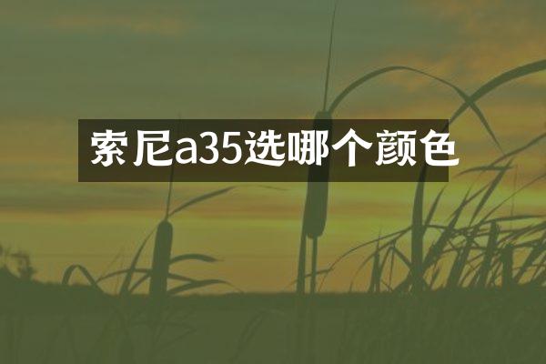 索尼a35选哪个颜色