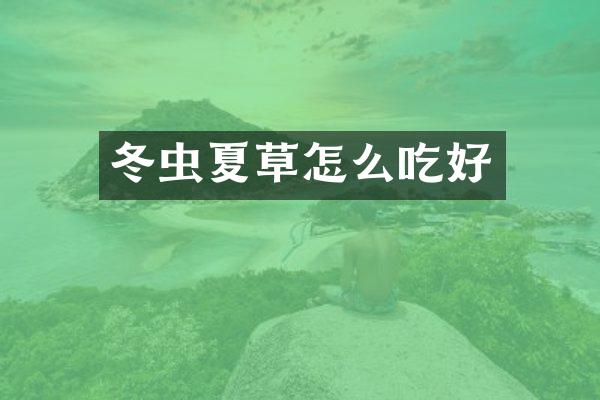 冬虫夏草怎么吃好