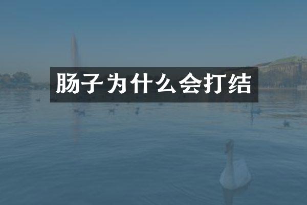 肠子为什么会打结