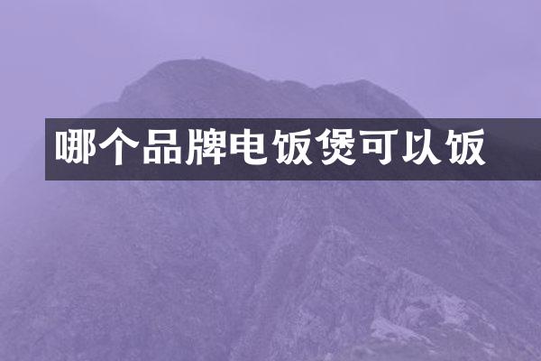 哪个品牌电饭煲可以焗饭
