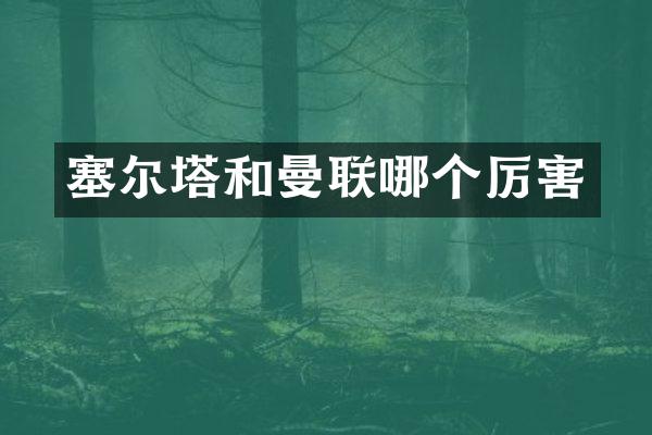 塞尔塔和曼联哪个厉害