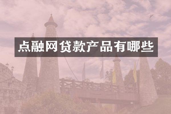 点融网贷款产品有哪些