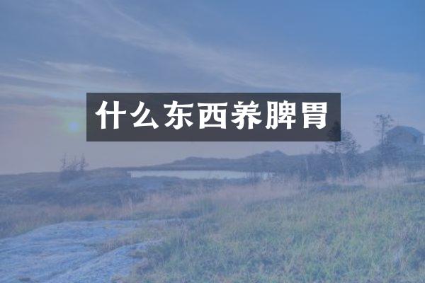 什么东西养脾胃