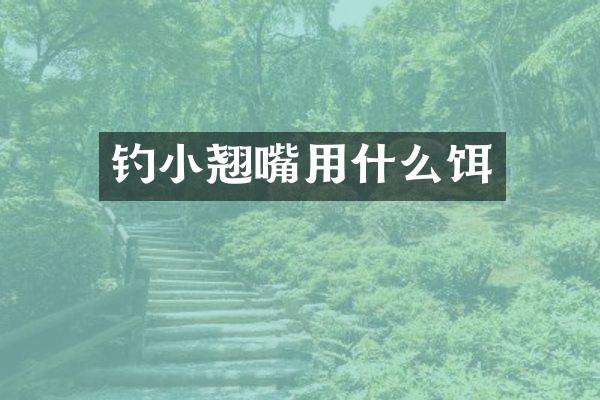 钓小翘嘴用什么饵