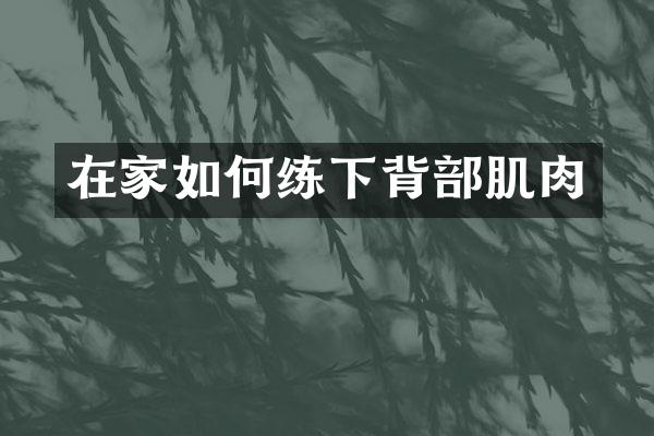 在家如何练下背部肌肉
