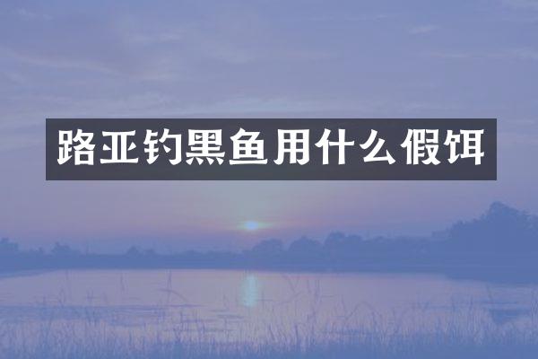 路亚钓黑鱼用什么假饵
