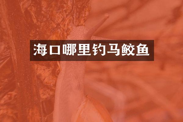 海口哪里钓马鲛鱼