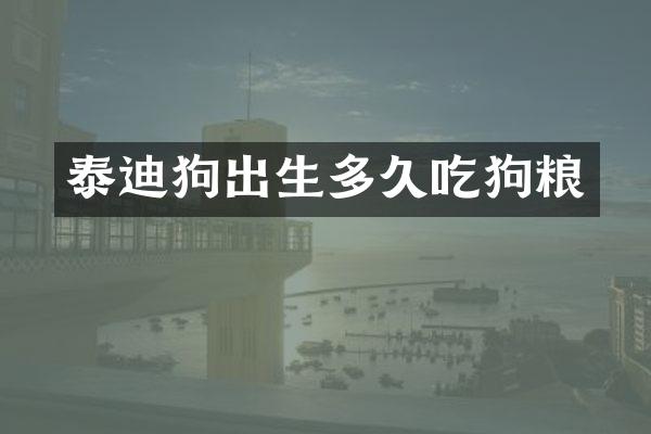 泰迪狗出生多久吃狗粮