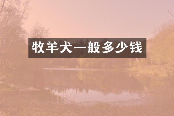 牧羊犬一般多少钱