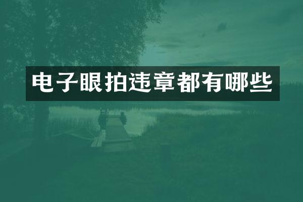 电子眼拍违章都有哪些