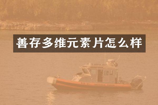 善存多维元素片怎么样