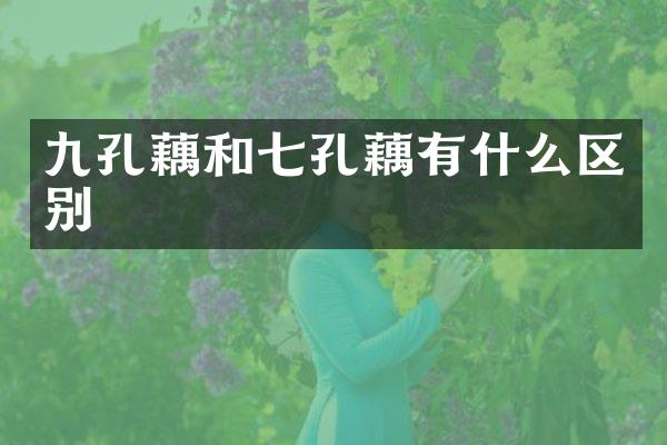 九孔藕和七孔藕有什么区别