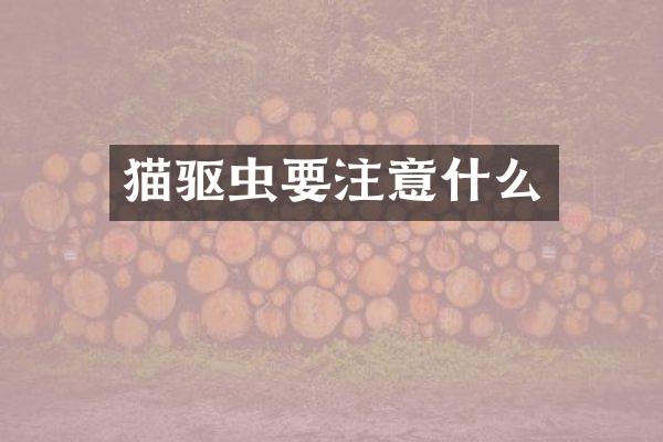 猫驱虫要注意什么
