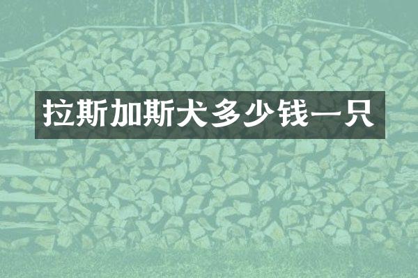 拉斯加斯犬多少钱一只