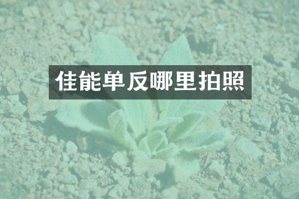 佳能单反哪里拍照