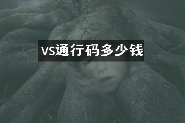vs通行码多少钱