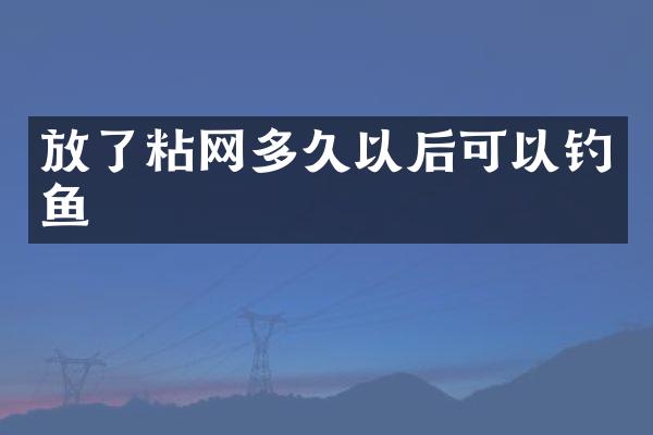 放了粘网多久以后可以钓鱼